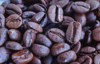 2004-01-17-coffeebeans.jpg
