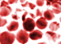 2005-07-17-blood.jpg