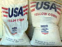 US Aid