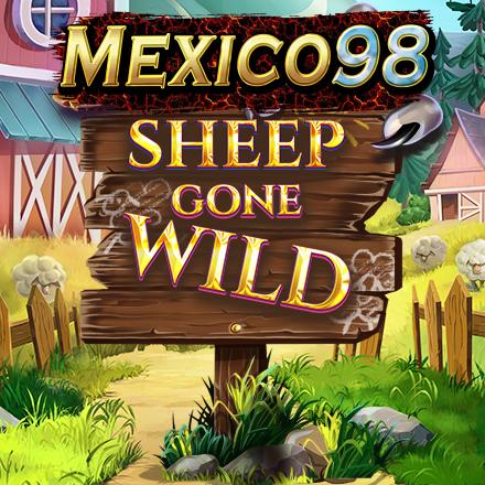 Sheep Gone Wild